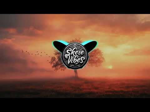 DukxBoii - Riki Raka (Remix)2024