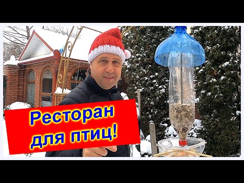 ?Кормушка для птиц своими руками?Делаем Быстро,Просто и Оригинально?Из ПВХ бутылок?Накормим всех! ?