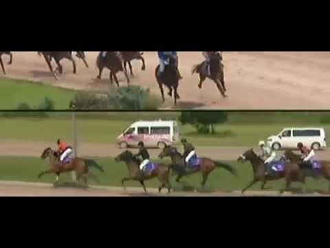 Preis der Dietz Fruchtsäfte_Trabreiten_Yoran Frisia_Cathrin Nimczyk