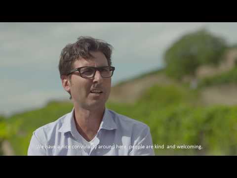 Extraordinary range of soil types in Nahe region make versatile wines