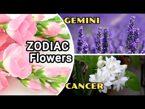 The Best Zodiac Flowers for GEMINI, CANCER Zodiac Signs Gift for Loved one  @richscenic  #richscenic