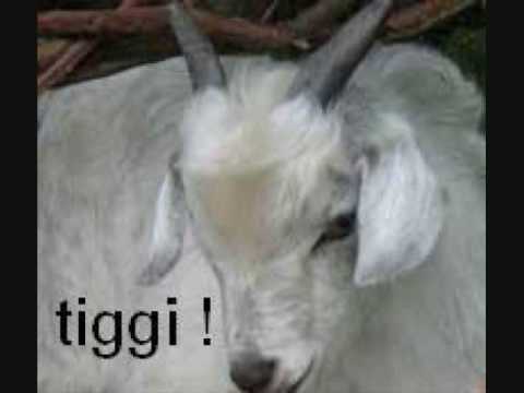 03 DJ 759144032 Shitting While On Prozac