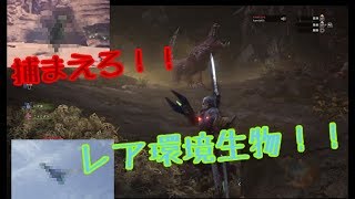 珍獣ハンターかみしー!!捕まえろ!!レア環境生物!!　＃１【エメラルドカブトガニ、サボテンダー、キッチョウヤンマ編】