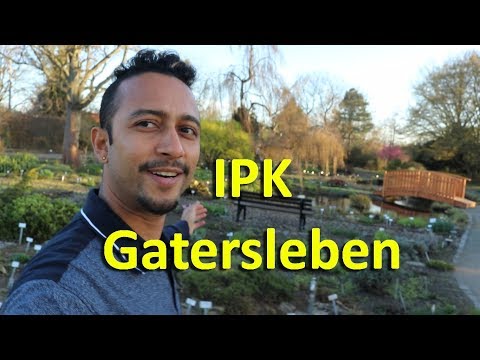 My research place | IPK-Gatersleben | Leibniz Institute of Plant Genetics and Crop Plant Research
