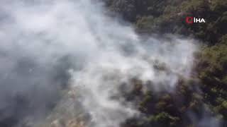 Bolu'da çıkan orman yangınında 5 hektarlık alan küle döndü