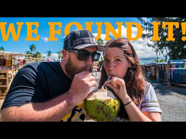 Our LOST FOOTAGE!! Tropical Island vacation with snorkeling, sea turtles, and cliff diving!!