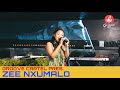 Amapiano Groove Cartel Presents Zee Nxumalo
