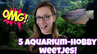DE LEUKSTE HOBBY: Het AQUARIUM! Stressverlagend & voor iedereen!  //Nickey//