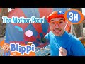 Blippi S Mother Pearl Exploration Blippi 3HRS Bedtime Wind Down And Sleep With Moonbug Kids
