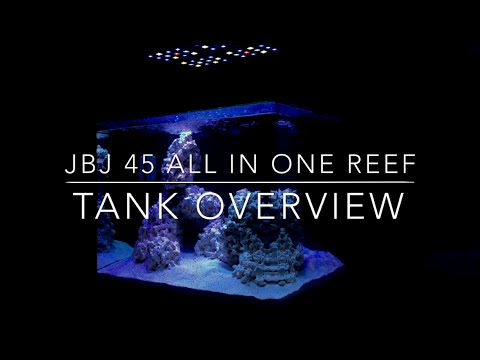 JBJ 45 All In One Reef: Tank Overview