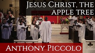 Jesus Christ the Apple Tree (Piccolo) // The Choir of Saint James, Los Angeles
