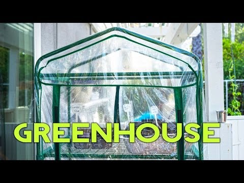 download lagu mp3 mp4 Gardman Greenhouse, download lagu Gardman Greenhouse gratis, unduh video klip Gardman Greenhouse