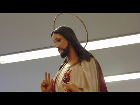 HOMILIA 10º DOMINGO DO TEMPO COMUM 07 06 2015