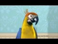 Veno S Parrot TV Advert