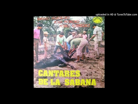 Damaso Figueredo  EL LLANERO NACE DE PIE