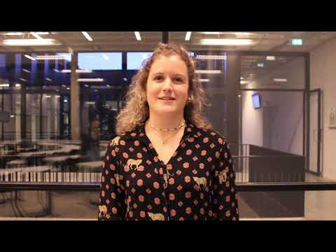 Studenten ervaringen met Testvision - Tilburg University