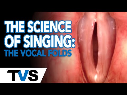 The Science of Singing: The Vocal Folds | Robert Lunte | The Vocalist Studio