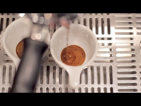 download lagu mp3 mp4 Espresso Tiger Stripes, download lagu Espresso Tiger Stripes gratis, unduh video klip Espresso Tiger Stripes