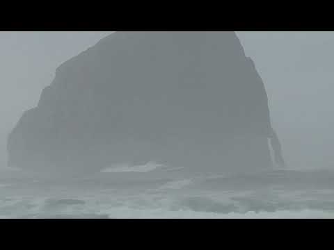 2022-10-29 Pacific City, Oregon