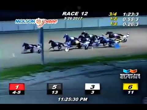 Bit Of A Legend Camluck Classic