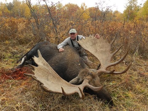 download lagu mp3 mp4 Kamchatka Moose Hunting, download lagu Kamchatka Moose Hunting gratis, unduh video klip Kamchatka Moose Hunting