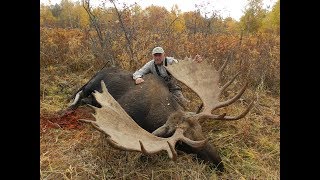 71&quot; Moose in Kamchatka. 20 yards shot! Hunting and guiding.