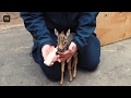 https://www.youtube.com/watch?v=2aDwH8xOrEM