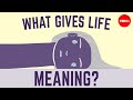 Ethical dilemma: What makes life worth living? - Douglas MacLean