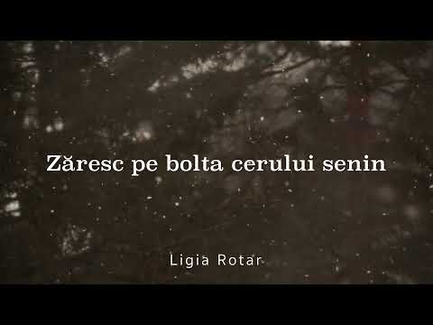 Zăresc pe bolta cerului senin - Ligia Rotar // Official