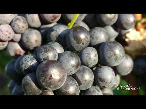 Von Fässern, Festen und Besen Das Weinparadies Hohenlohe