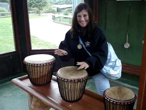 bongo solo kimmie style