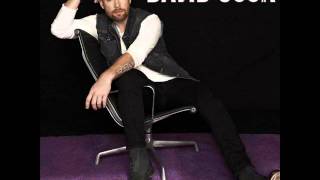 Laying Me Low (1:23 audio clip) - David Cook (NEW single)