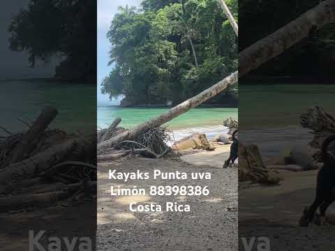 Kayaks Punta uva Limón