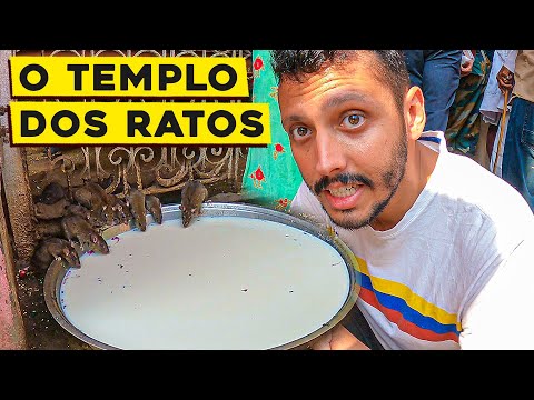 VISITAMOS O TEMPLO DOS RATOS NA ÍNDIA