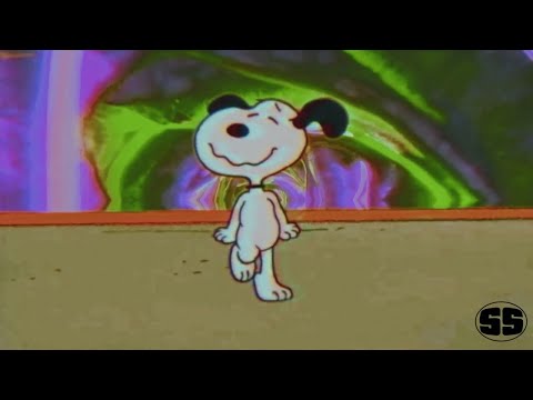 TRAPPIN IN ＰＡＲＡＤＩＳＥ  141