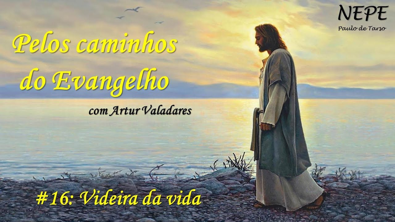 Pelos caminhos do Evangelho #16 - Videira da vida