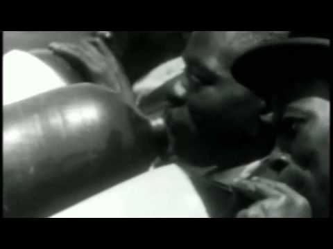 Thumbnail for Blues Man's Dream (with Delta, The Blues Man's Cat) by Doc Watson, Reverend Gary Davis, Scrapper Blackwell, Mance Lipscomb, Lightnin' Hopkins, Robert Johnson, Y&T