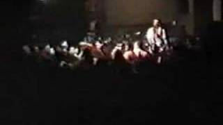 screeching weasel - teenage freakshow