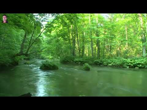 𝘡𝘶𝘫𝘤̌𝘦 - 𝘏𝘢𝘫𝘥𝘦 𝘷𝘳𝘢𝘵𝘪 𝘨𝘭𝘢𝘷𝘢.