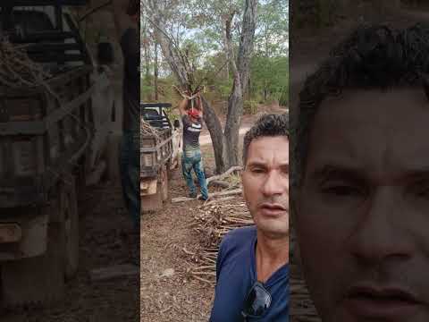 #tocantins #lagoadotocantins