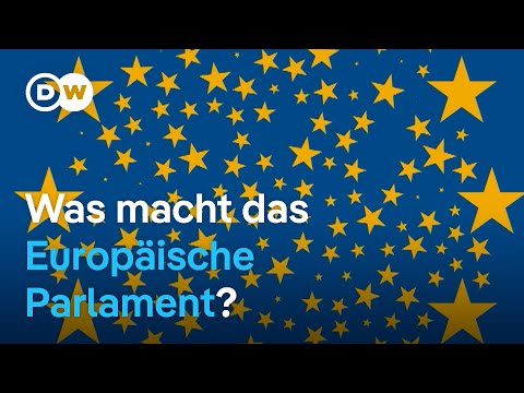 EU erklärt: Was macht das Europäische Parlament? 2/5 | DW Nachrichten