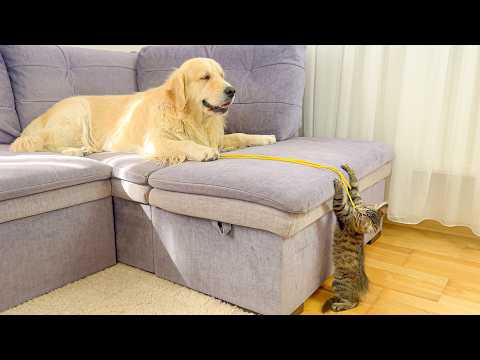 YouTube 썸네일