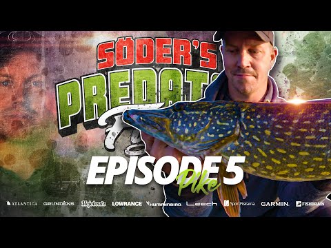Predator Fight 2021 - Episode 5