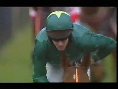 2007 Weatherbys Champion Bumper - Cheltenham Festival