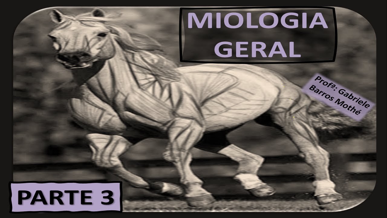 MIOLOGIA GERAL - parte 3 (anatomia veterinária)