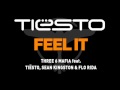 Tiesto & Three 6 Mafia Feel It (Sterbinszky ...