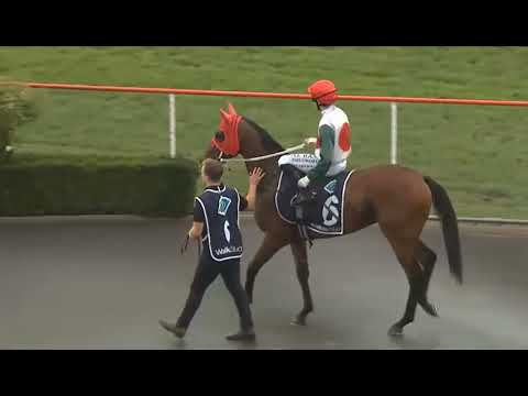 RACE 3 - Matamata - NEW ZEALAND 24 FEB 2026