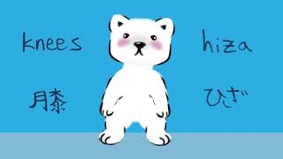 Download lagu 頭肩膝足(Head, Shoulders, Knees, and Toes - in Japanese) mp3 Download lagu 頭肩膝足(Head, Shoulders, Knees, and Toes - in Japanese) mp3