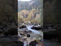 Welcome To Dev Bhoomi Himachal Pradesh I Hope This Short Video Will Bring Some Smile Peace To You