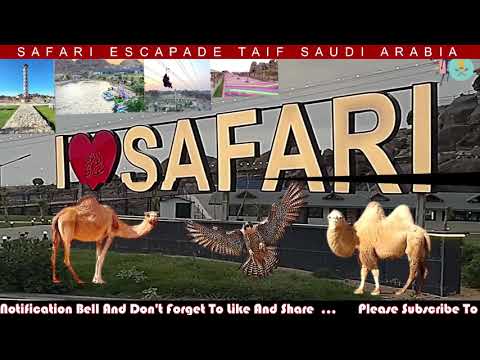 SAFARI ESCAPADE, TAIF SAUDI ARABIA 🐪🦅🐐 #safari #animals #endangeredspecies #taif #saudiarabia #ksa